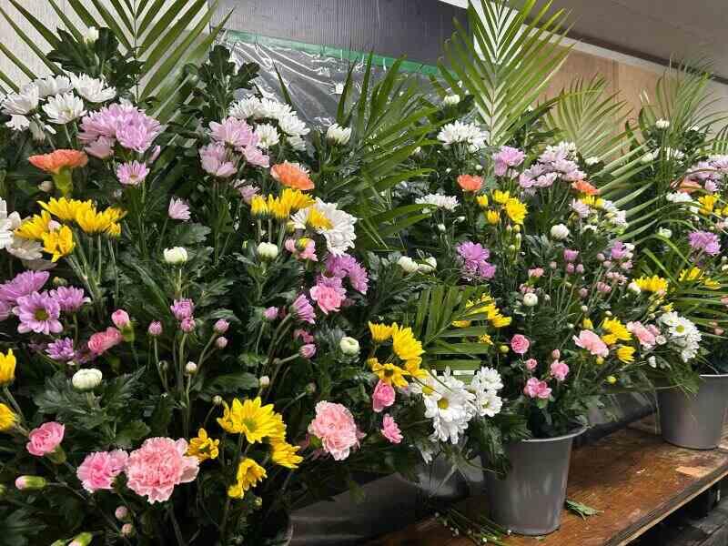 株式会社ビューティ花壇西日本の仕事画像2