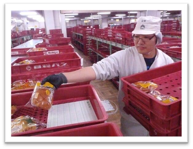日糧製パン株式会社 (002)の仕事画像2