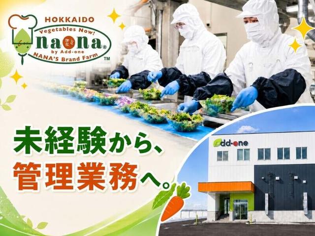 【転勤なし/年休120日超/賞与年2回】野菜の製造・ライン管理業務(工場・製造、札幌市東区)のイメージ画像