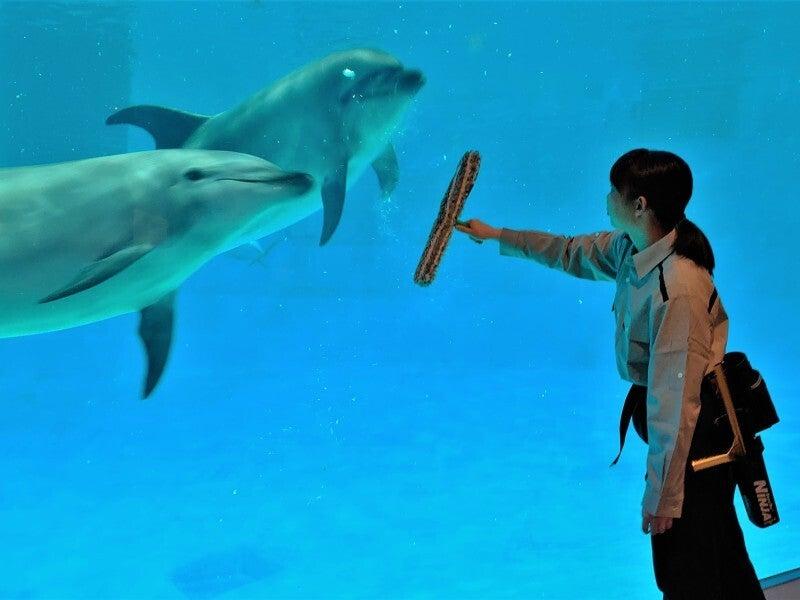 株式会社トラスト 拠点1の仕事画像1