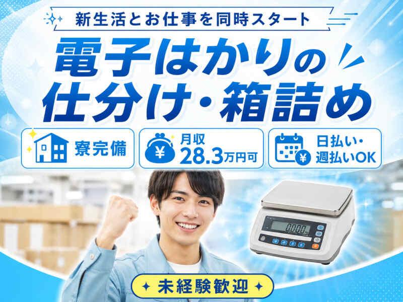 株式会社セカンドスロープ 株式会社セカンドスロープ 応募受付の仕事画像1