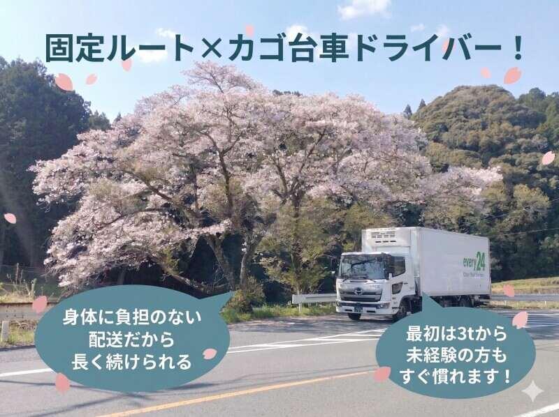 ダイセーエブリー二十四 浜松南センターの仕事画像1
