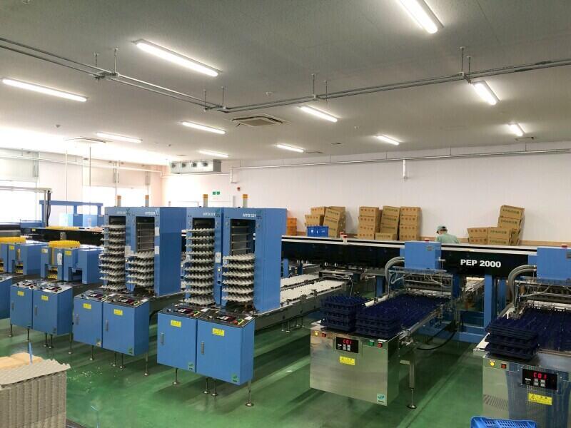 株式会社坪井種鶏孵化場の仕事画像3